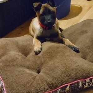 Meet your Posher, Joyce